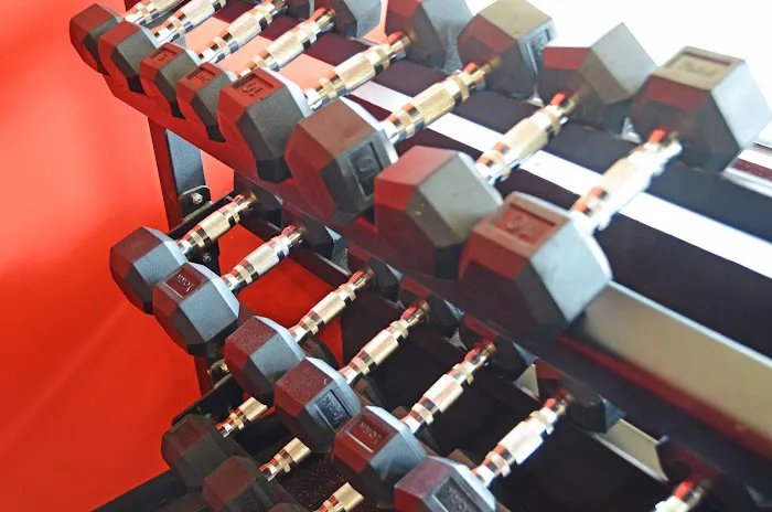 Quest Performance Training Picture 2