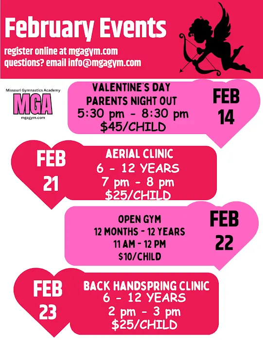 Missouri Gymnastics Academy Picture 7