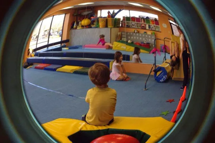 Olympia Gymnastics - Ellisville Picture 6