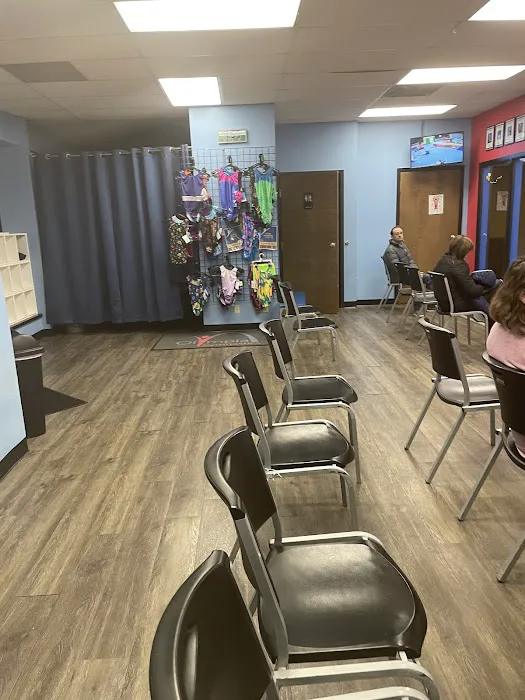 Olympia Gymnastics - Ellisville Picture 5