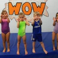 Olympia Gymnastics - Ellisville ico