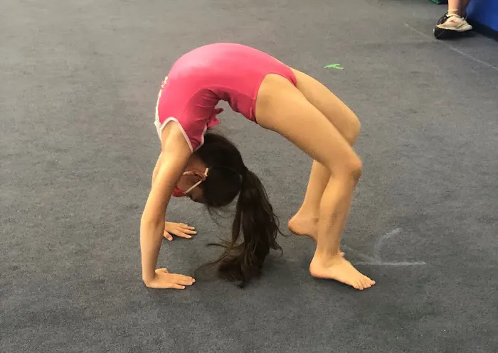 Olympia Gymnastics - Ellisville Picture 9