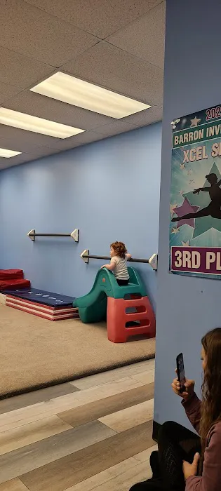 Skymax Gymnastics Picture 1