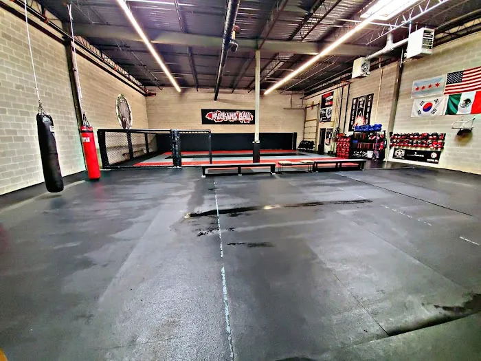 Wrecking Ball MMA Picture 5