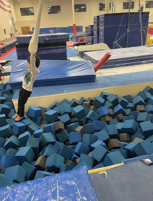 Ultimate Gymnastics of Gurnee Picture 8