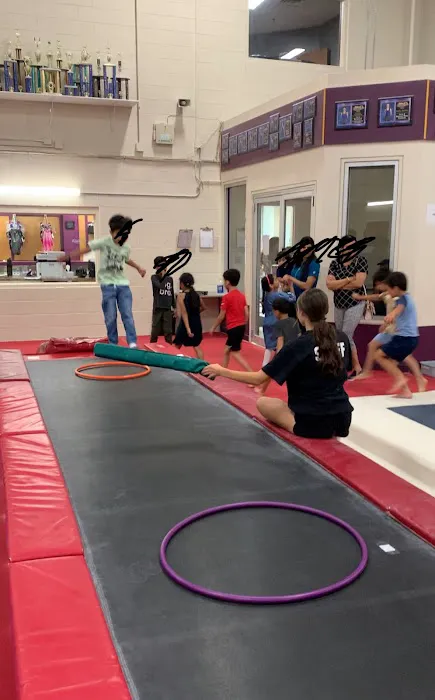 Ultimate Gymnastics of Gurnee Picture 2