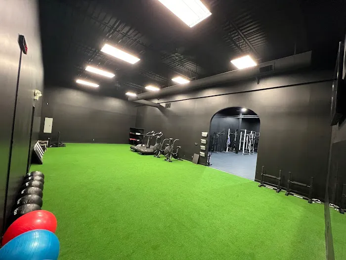 Bibas Sports Performance Picture 2