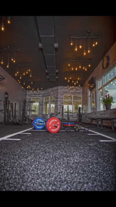 Against Gravity Picture 4