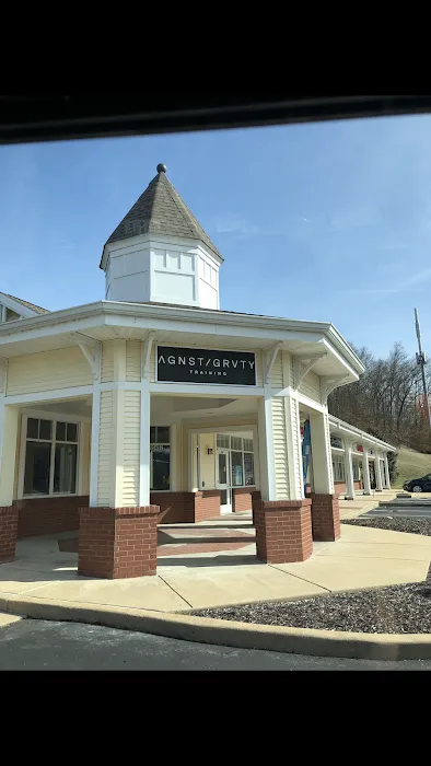 Against Gravity Picture 2