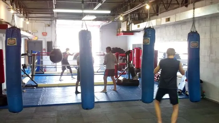 Striking Arts Academy Picture 8