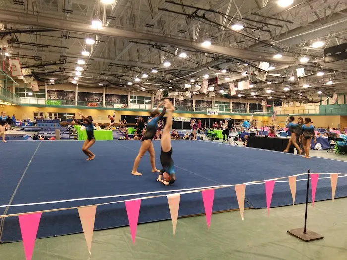 Field House Sports, Fitness & Aquatics Center Picture 5