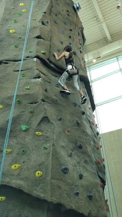 Field House Sports, Fitness & Aquatics Center Picture 1