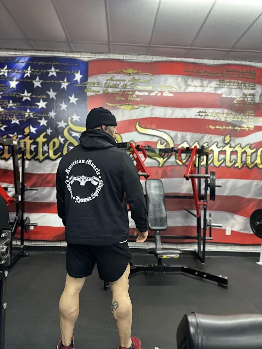 American Muscle House Springs Picture 7