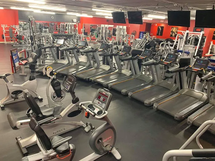 American Muscle House Springs Picture 5