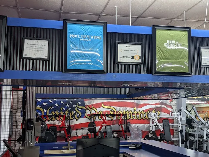 American Muscle House Springs Picture 2