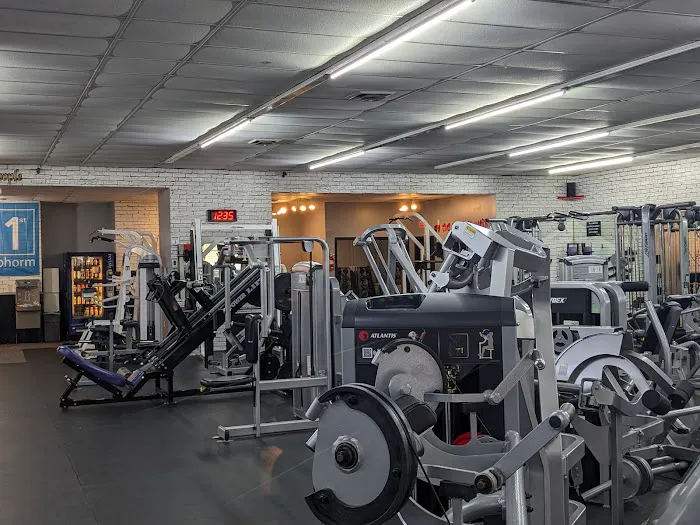 American Muscle House Springs Picture 1