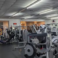 American Muscle House Springs ico