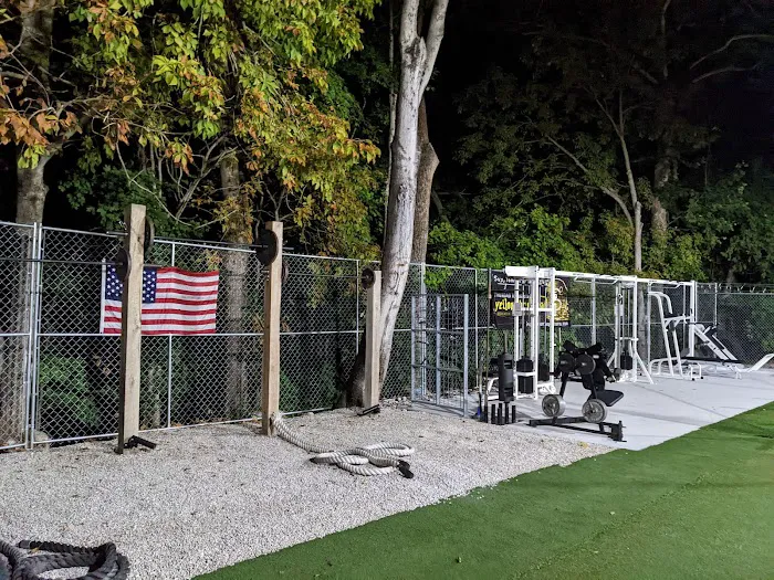 American Muscle House Springs Picture 9