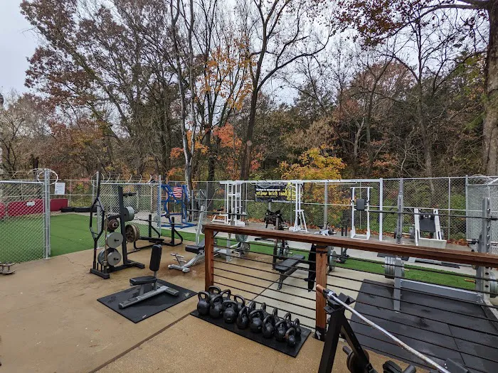 American Muscle House Springs Picture 3