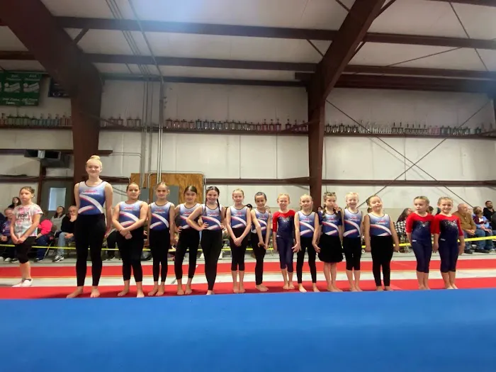 AGA American Gymnastics Academy Picture 5