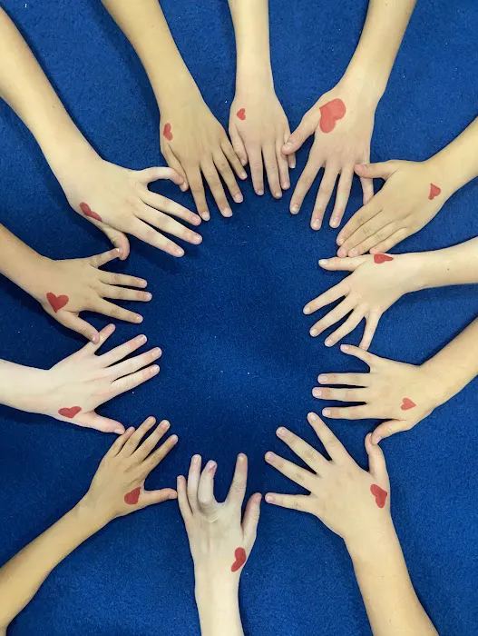 AGA American Gymnastics Academy Picture 2