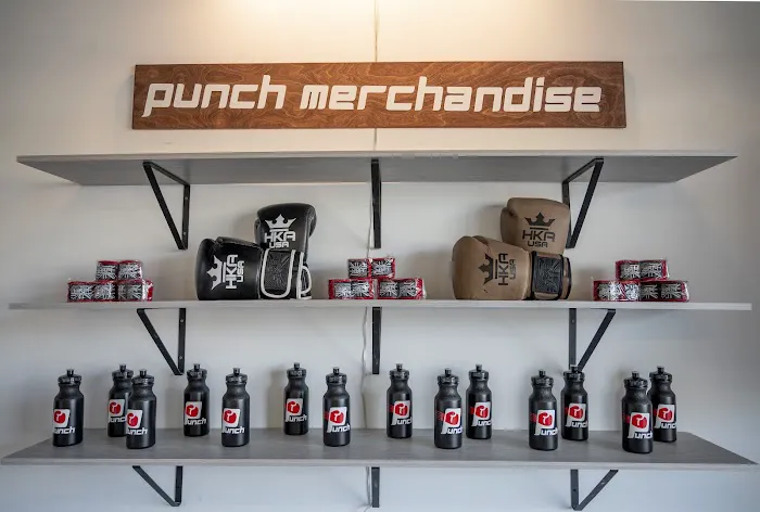 Punch Boxing Gym Picture 8