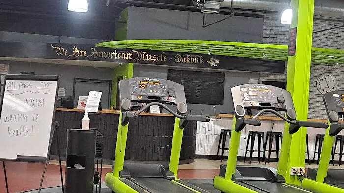 American Muscle Picture 2