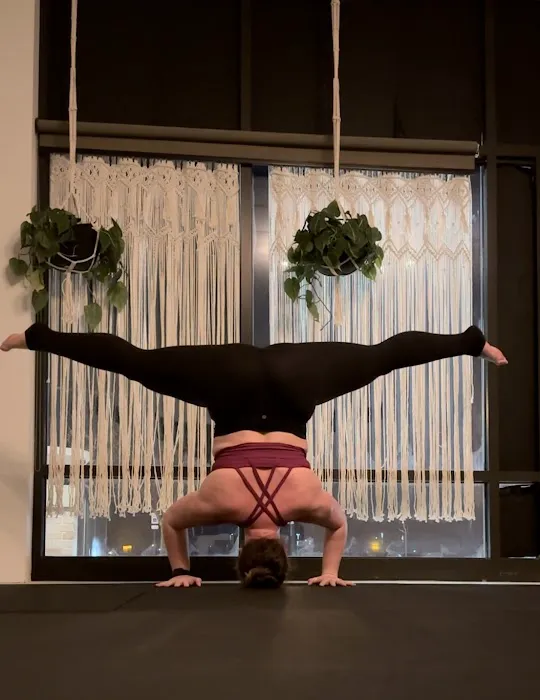 Fox Company Yoga Picture 9