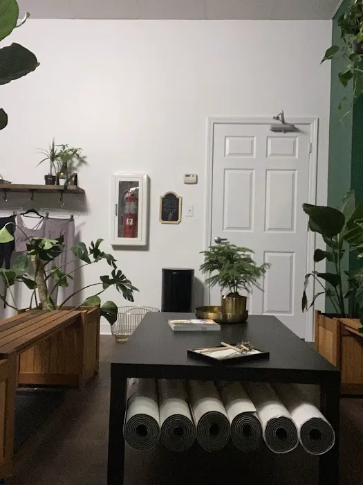 Fox Company Yoga Picture 2