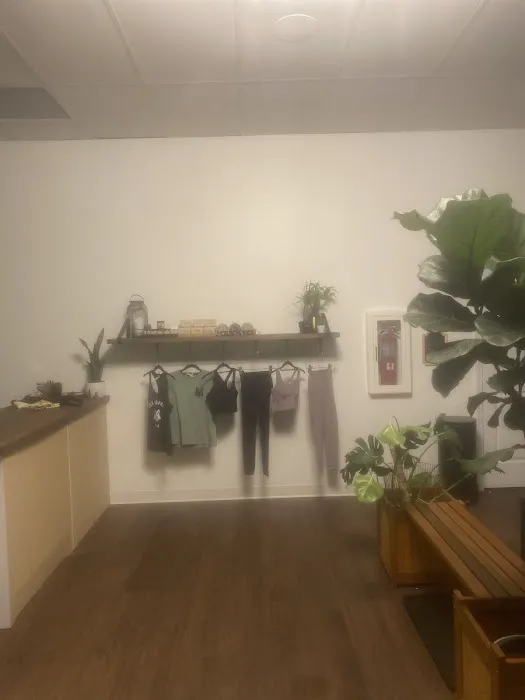 Fox Company Yoga Picture 3