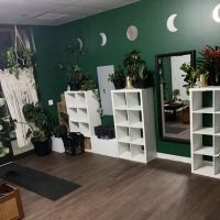 Fox Company Yoga ico