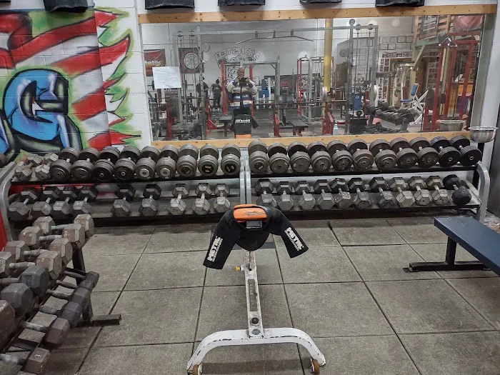 Monster Garage Gym Picture 10