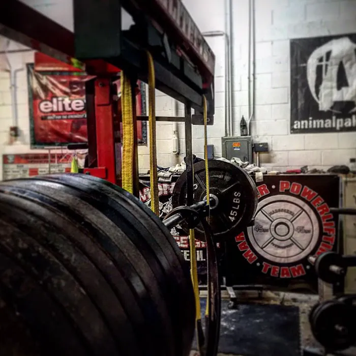 Monster Garage Gym Picture 3