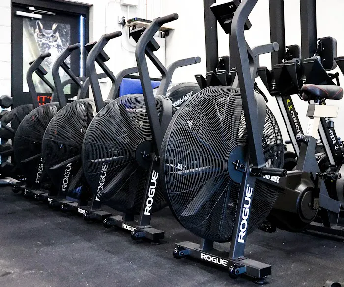 CrossFit CXX Picture 2