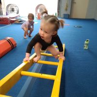 The Gymnastics Zone, Inc. ico