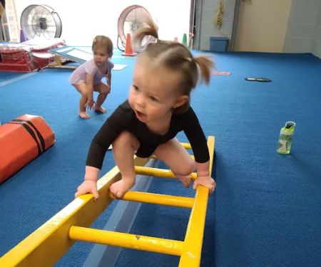 The Gymnastics Zone, Inc.
