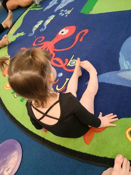 The Gymnastics Zone, Inc. Picture 2