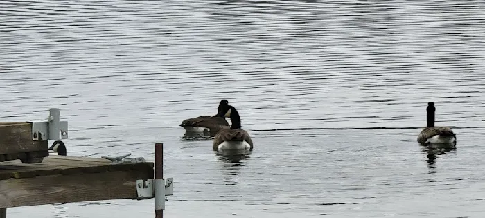 Cross lake beach Picture 8