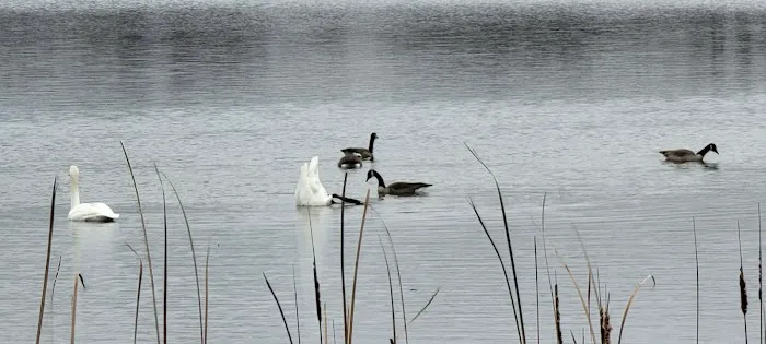 Cross lake beach Picture 2