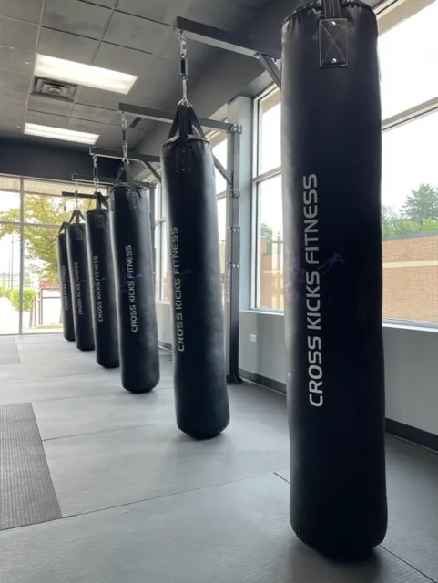 Cross Kicks Fitness - McHenry Picture 1