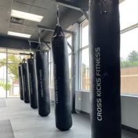 Cross Kicks Fitness - McHenry ico