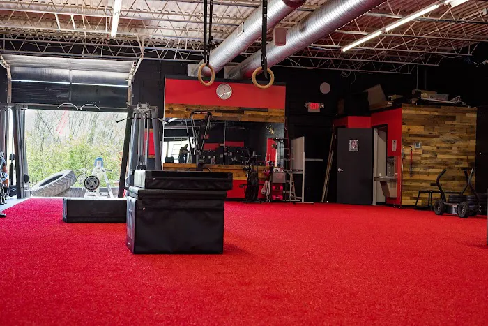 Vero Fitness Picture 5