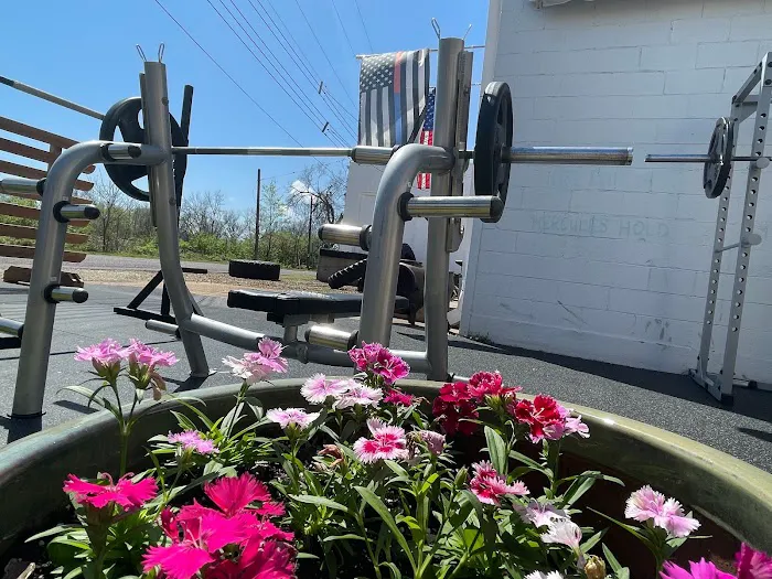 Vero Fitness Picture 7