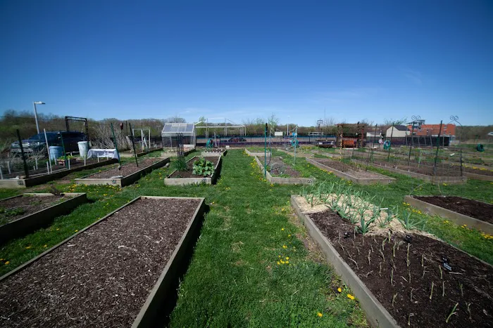 Wildwood YMCA Picture 4