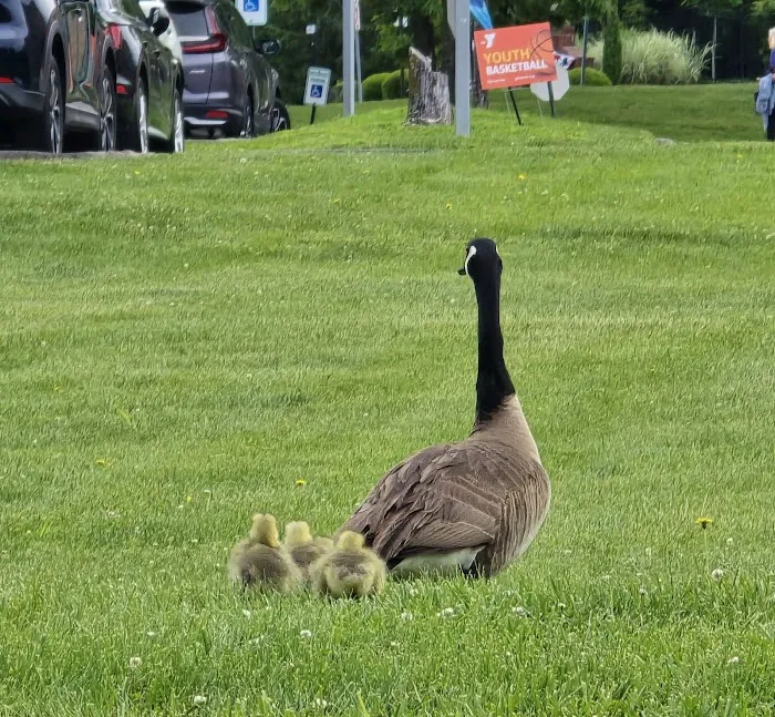 Wildwood YMCA Picture 8