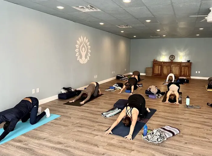 Wildwood Yoga & Wellness Picture 1