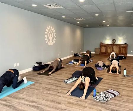 Wildwood Yoga & Wellness