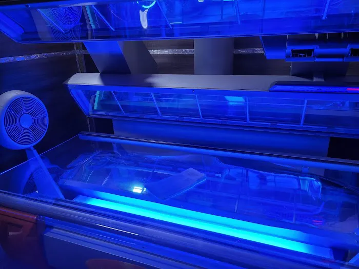 Xist Fitness Picture 4