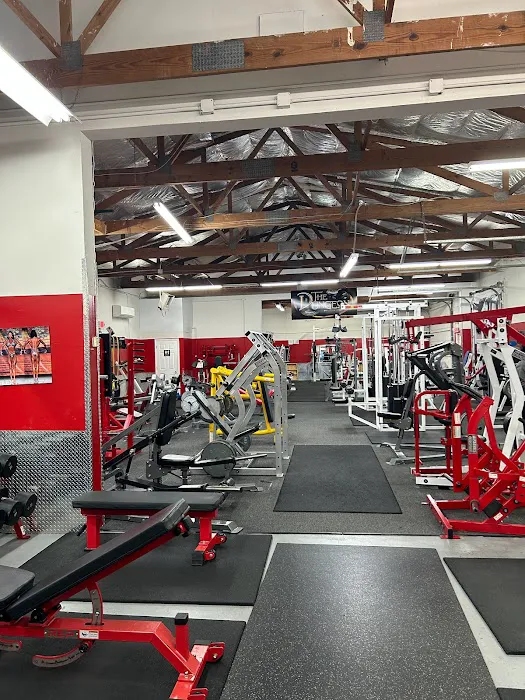 The Dungeon-Titone Pro Gym Picture 7