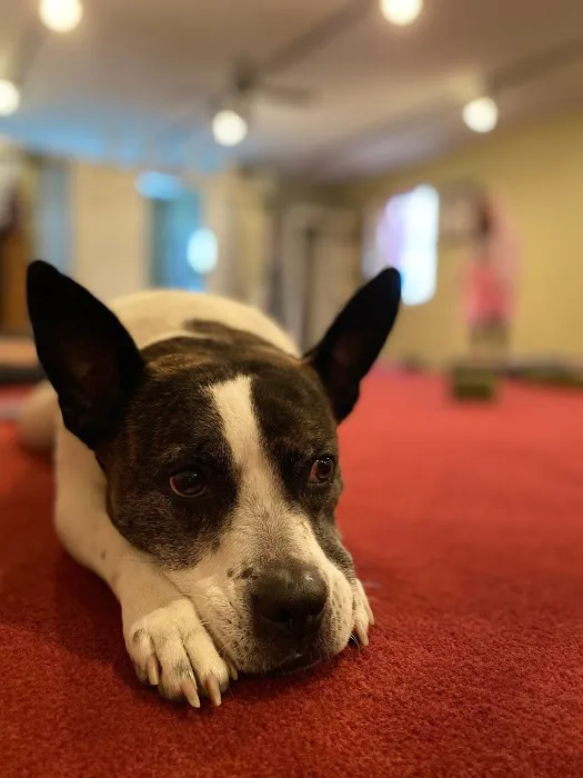 Nurture Yoga & Massage Picture 5